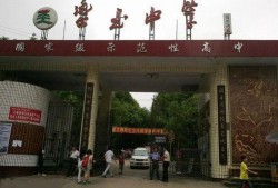 乐至中学吃瓜,揭秘校园里的热点话题