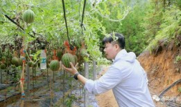 湖师吃瓜,揭秘那些“吃瓜”背后的故事