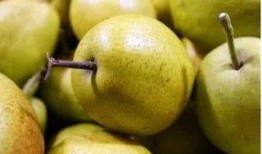 支气管炎吃哈密瓜