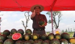 雪梨瓜怎么吃减肥,清爽解腻，轻松享瘦新选择