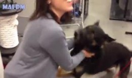 海狗吃瓜的视频,瓜果盛宴成欢乐焦点