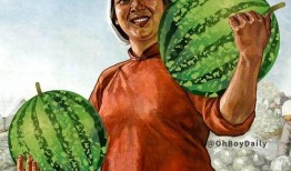 有吃拂手瓜回,探寻舌尖上的自然馈赠