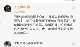 吃瓜娱乐圈文案,揭秘明星幕后真相