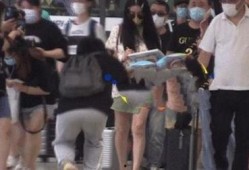 上海机场吃瓜,揭秘网红打卡地的幕后故事