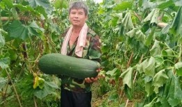 最新火爆吃瓜,揭秘最新火爆吃瓜事件背后的真相