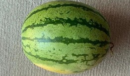 长春最多人吃瓜,全民共享的夏日消暑美食狂欢