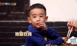 小陈我吃瓜,揭秘娱乐圈那些不为人知的幕后故事