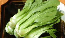 水瓜和油菜能同时吃吗吗,健康搭配，美味同享