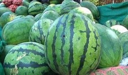 庄河怎么叫吃瓜