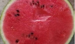 吃瓜一百张图,吃瓜界的风云变幻