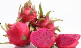 吃哈密瓜和火龙果拼盘,夏日水果拼盘新体验