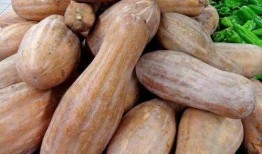 扶绥吃瓜事件,一场引发热议的街头冲突事件回顾