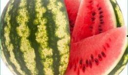 每天都是瓜吃,品味生活的甜蜜滋味