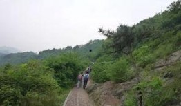 爬山吃秋瓜,品味秋瓜的甘甜时光