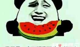 吃瓜吃到自己哪个梗,一场意外的“瓜”界奇遇