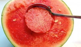 吃瓜整人视频下载,揭秘吃瓜整人视频下载背后的秘密