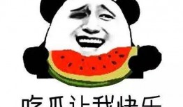 自律的吃瓜群众,网络舆论场中的理性守护者