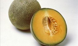 甜蜜瓜怎样吃,解锁夏日美味新体验