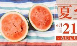 公众吃瓜厅,网络舆论场中的“瓜田”众生相