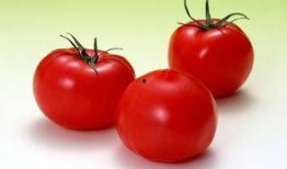 晚上吃番茄乳瓜,夜晚美食新宠，营养美味两不误