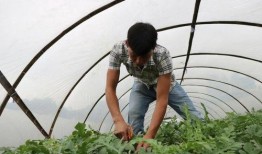 回村后吃瓜,见证乡村变迁的别样视角