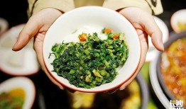 吃瓜蛙密码,揭秘网络流行语的奥秘