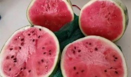 圈内吃瓜真假鉴别,如何辨别真假吃瓜信息