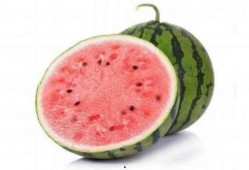 吃麒麟瓜舌头麻,麒麟瓜引发的麻舌之谜