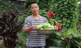 兔儿瓜怎样吃,解锁美味新体验