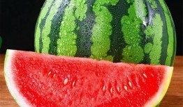 看瓜与吃瓜区别是什么,揭秘两者之间的本质区别