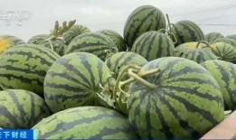 泰州海陵吃瓜,夏日炎炎，吃瓜群众欢乐多