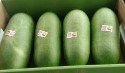 吃瓜专卖,吃瓜专卖带你领略明星幕后故事