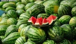 吃瓜看这,吃瓜群众视角下的娱乐圈风云录