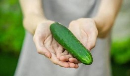 撕心裂肺吃瓜,揭秘娱乐圈背后的真相与情感纠葛