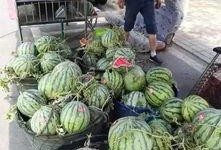 青州西城吃瓜事件视频,一场引发热议的网络视频风波