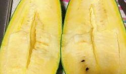 吃瓜专卖,吃瓜专卖带你领略明星幕后故事