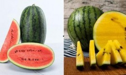 超准吃瓜号,超准吃瓜号带你领略幕后风云