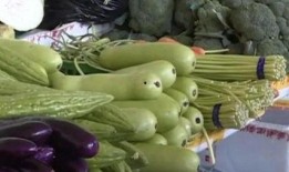 什么瓜不能伺候吃,为何某些“瓜”不宜食用，健康饮食指南