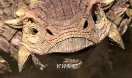 带你吃瓜的恐龙,探寻“带你吃瓜”的恐龙传奇