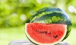 商场吃瓜的好处,轻松享受休闲时光