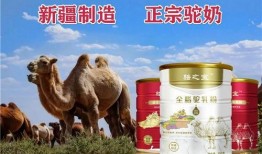 瓜州骆驼奶片怎么吃,便捷营养，轻松享用之道