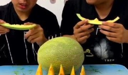 韩国兄弟俩吃冰冻哈密瓜,冰冻哈密瓜引发的清凉狂欢