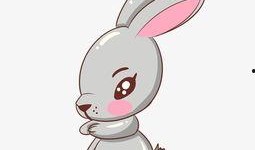 吃瓜小兔特效视频下载,趣味瞬间，轻松收藏