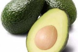 减肥营吃瓜,减肥营里的美味瓜果之旅