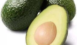 减肥营吃瓜,减肥营里的美味瓜果之旅