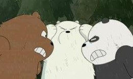 吃瓜小熊分手视频,甜蜜恋情告终，网友热议分手原因