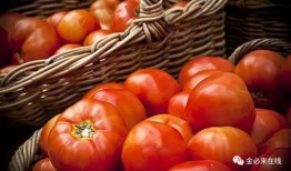 小林吃瓜番茄,一场味蕾与视觉的盛宴