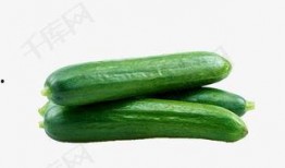 坞罗免费吃瓜,坞罗带你畅享夏日清凉