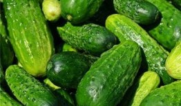 梦到孕妇摘瓜吃瓜,孕妇摘瓜食瓜的神秘寓意解析