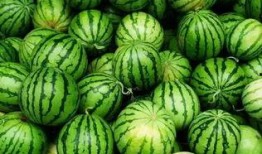 东莞娜娜吃瓜群,揭秘网络社交背后的八卦风云